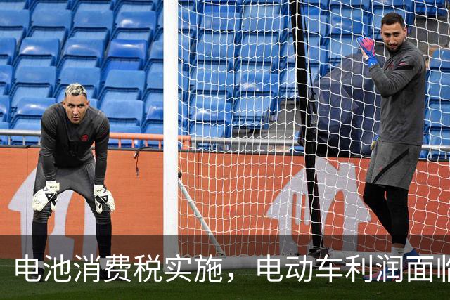 电池消费税实施，电动车利润面临挑战